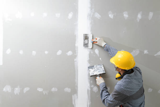 Best Basement Mold Removal  in USA