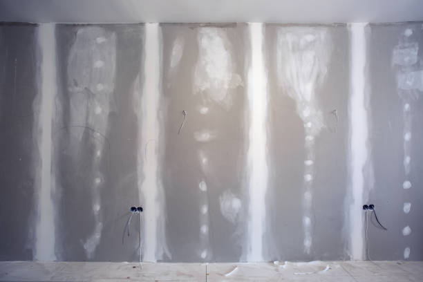 Best Mold Removal for HVAC Installations  in USA